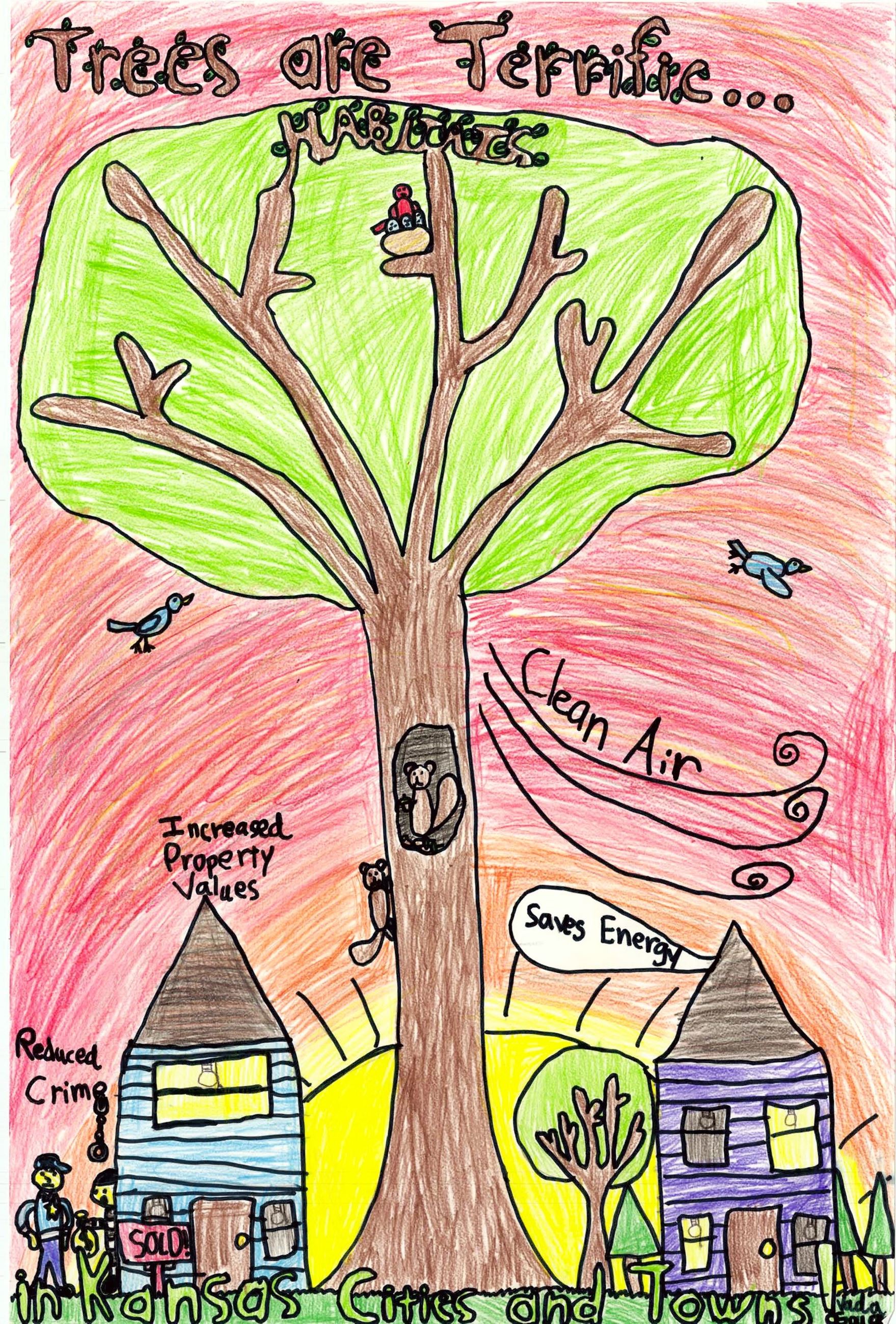 Forestry Drawing Contest Winner