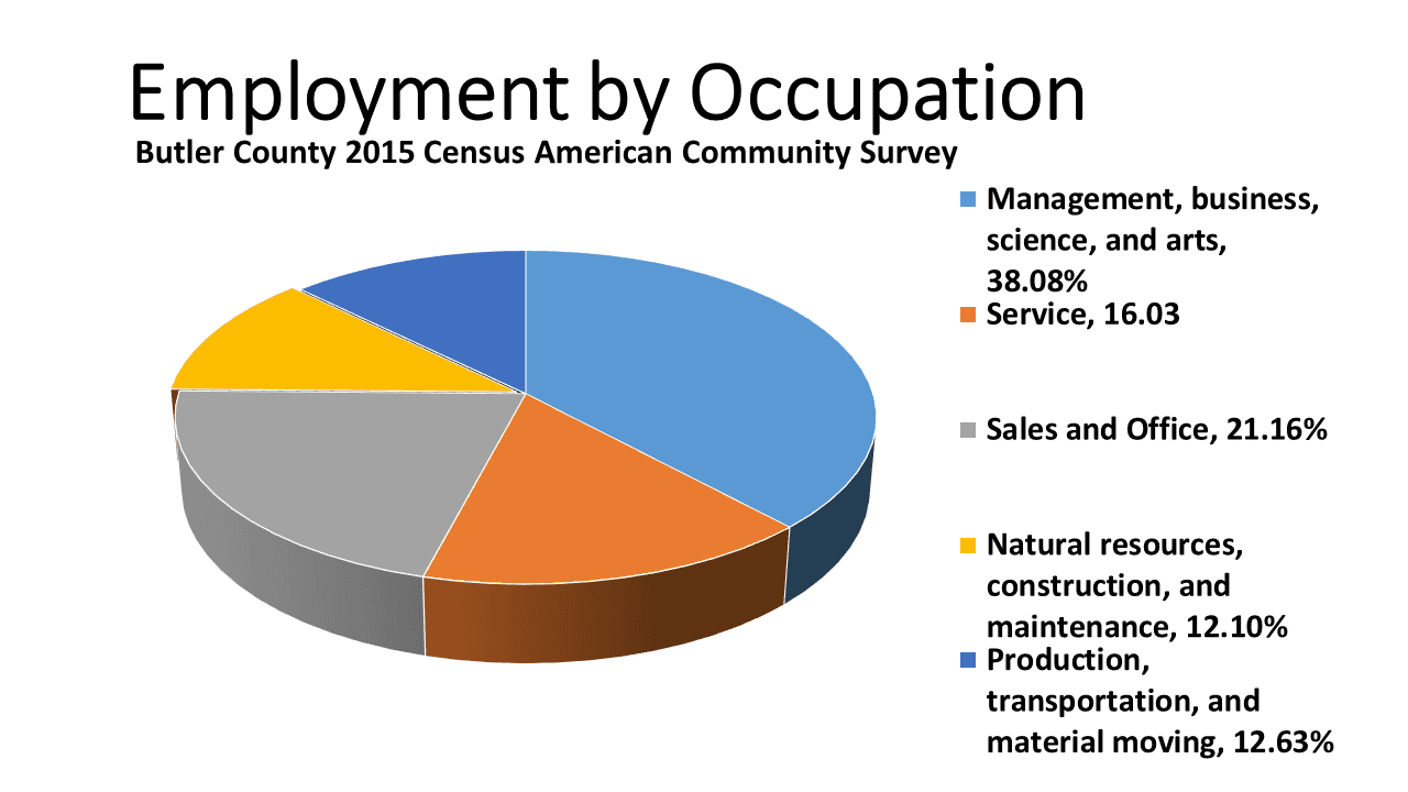 Employment by Occupation