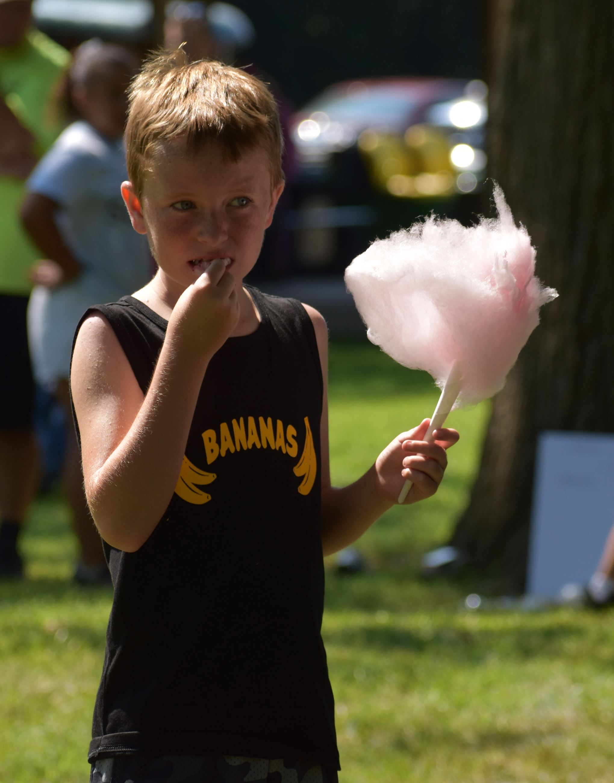 Independence Day Activities