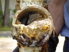 grease buildup in pipe