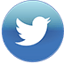 social-media-Twitter