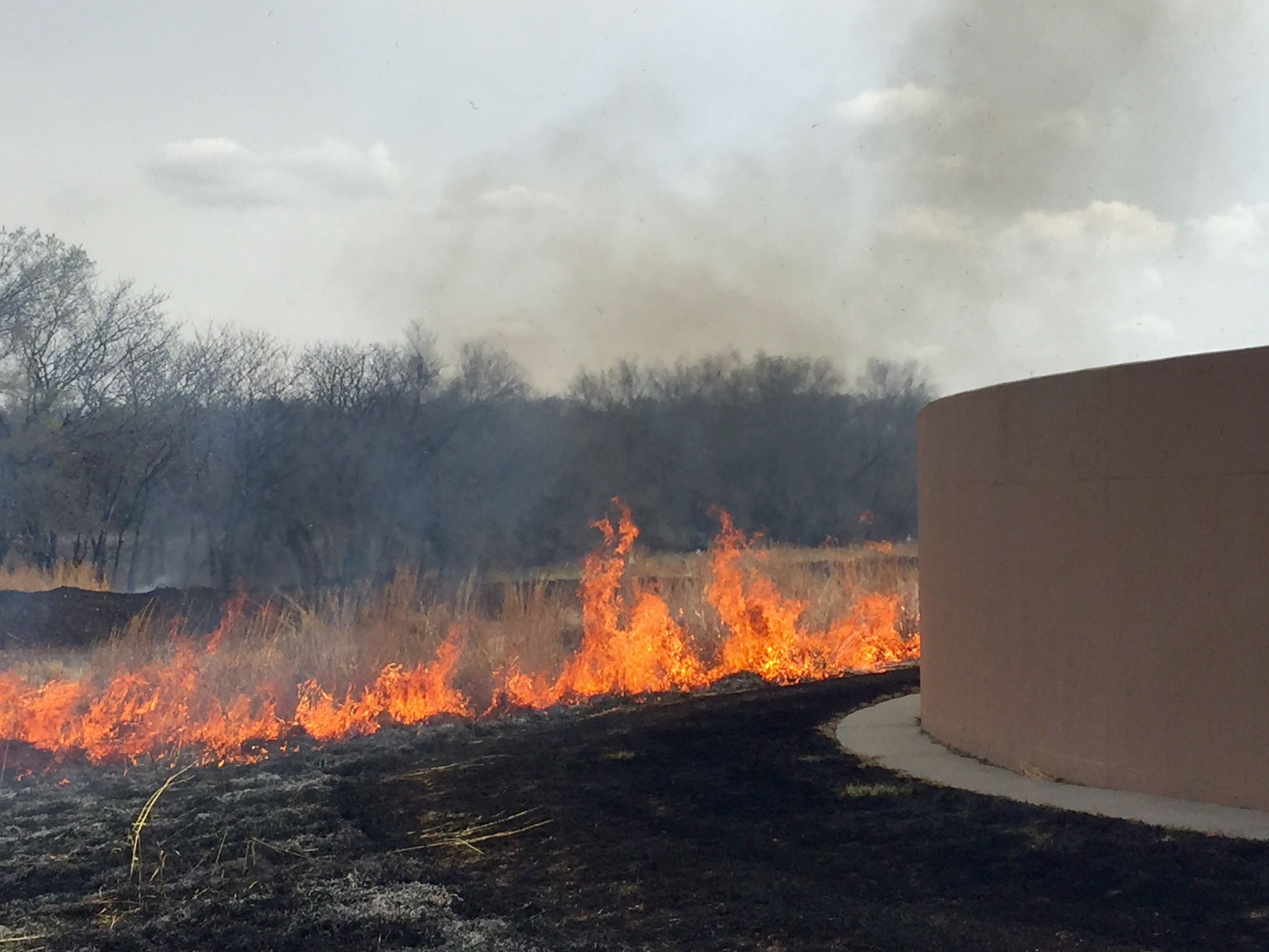 Grass being burned around the Water Reclamation Facility